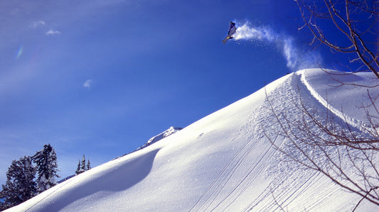 MICRODOSE Brighton Resort - Episode 6 of 6